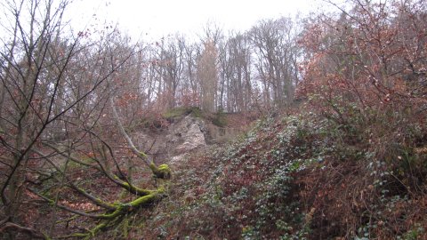 La forêt des mines à Bergfreiheit
