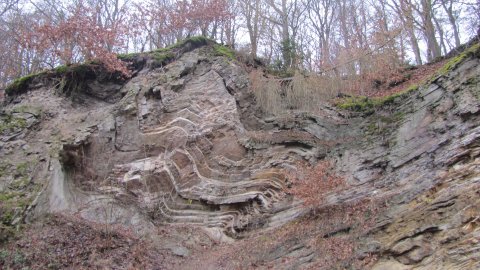 La forêt des mines à Bergfreiheit