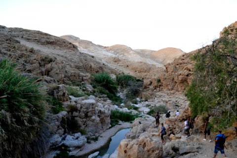 Plein la vue à Wadi al-Qalt ! 
